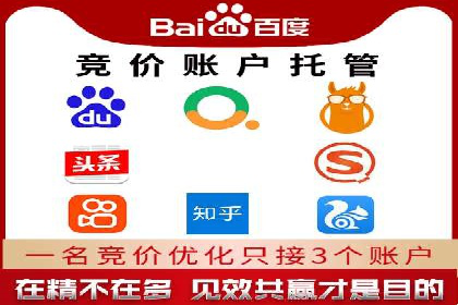 SEM竞价代运营公司成功案例分析